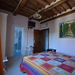 Alma 3* Lucca