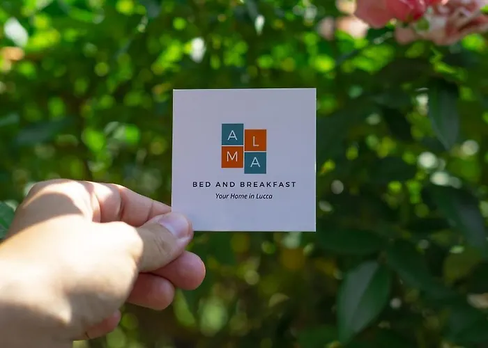Alma 4* Lucca